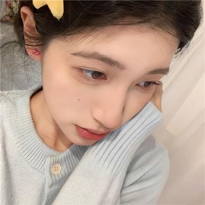 翼龙